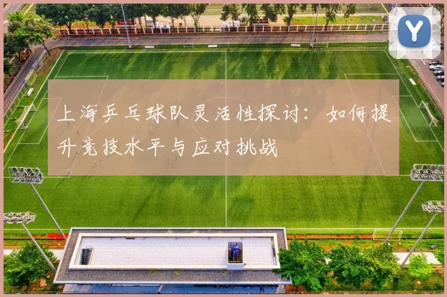 上海乒乓球队灵活性探讨：如何提升竞技水平与应对挑战