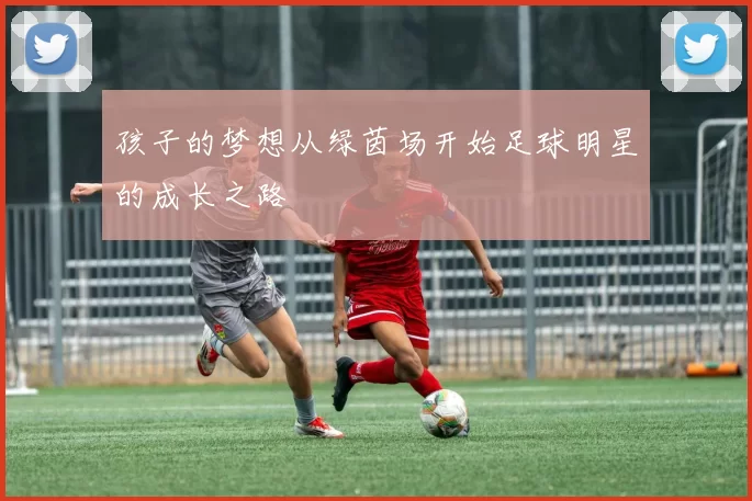 孩子的梦想从绿茵场开始足球明星的成长之路