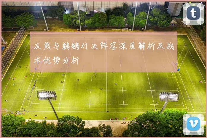 灰熊与鹈鹕对决阵容深度解析及战术优势分析
