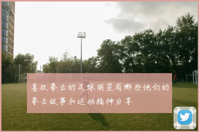 喜欢拳击的足球明星有哪些他们的拳击故事和运动精神分享