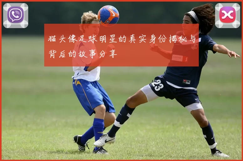 猫头像足球明星的真实身份揭秘与背后的故事分享