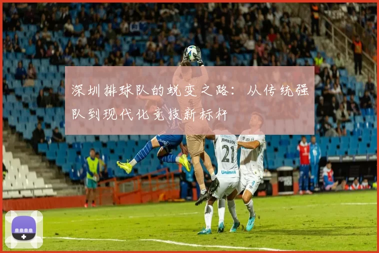 深圳排球队的蜕变之路：从传统强队到现代化竞技新标杆