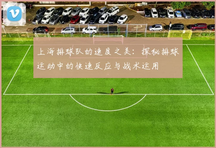 上海排球队的速度之美：探秘排球运动中的快速反应与战术运用