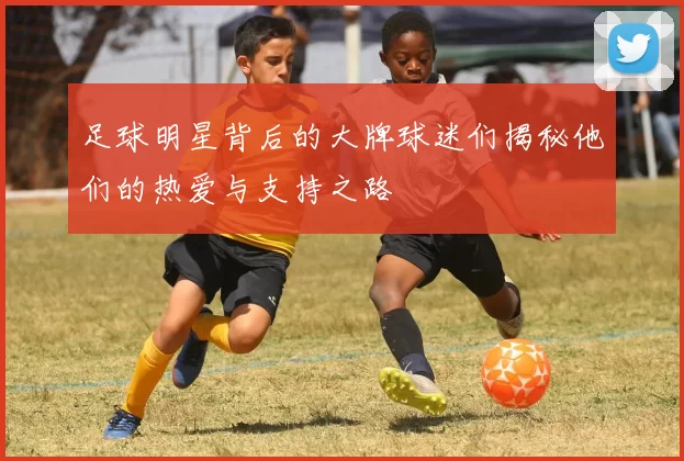 足球明星背后的大牌球迷们揭秘他们的热爱与支持之路
