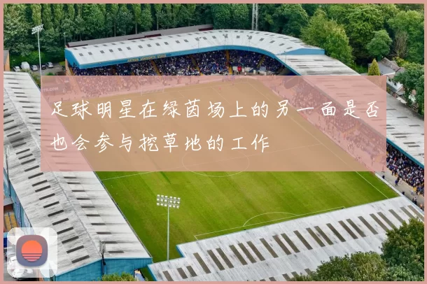 足球明星在绿茵场上的另一面是否也会参与挖草地的工作