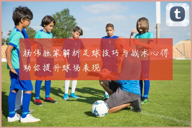 杨伟独家解析足球技巧与战术心得助你提升球场表现