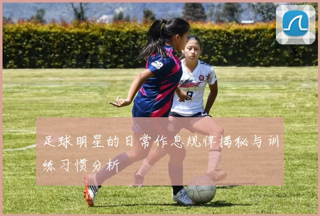 足球明星的日常作息规律揭秘与训练习惯分析
