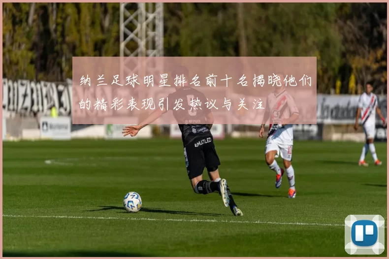 纳兰足球明星排名前十名揭晓他们的精彩表现引发热议与关注